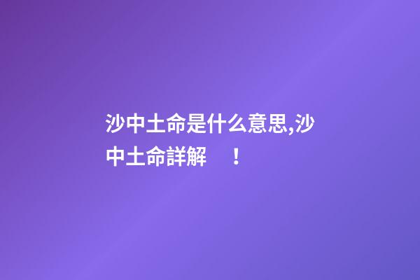 沙中土命是什么意思,沙中土命詳解！